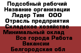 Подсобный рабочий › Название организации ­ Лидер Тим, ООО › Отрасль предприятия ­ Складское хозяйство › Минимальный оклад ­ 15 000 - Все города Работа » Вакансии   . Белгородская обл.,Белгород г.